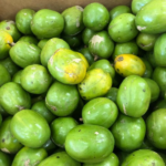 Sample Jamaican Imports