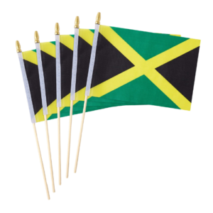 Stick Flags 12/18"